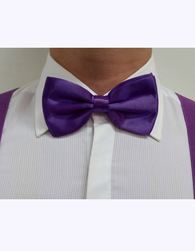 Bow Tie in Dark Purple